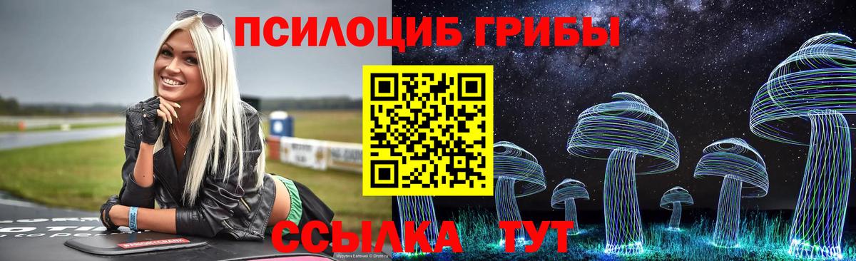 как найти закладки  Гусиноозёрск  Галлюциногенные грибы мухоморы  Галлюциногенные грибы Cubensis 