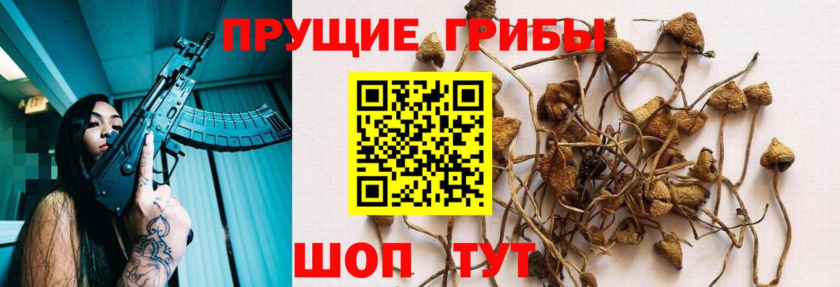 Гусиноозёрск  купить наркотики цена  Вход с VPN  Галлюциногенные грибы мухоморы 